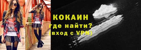 ешки Няндома